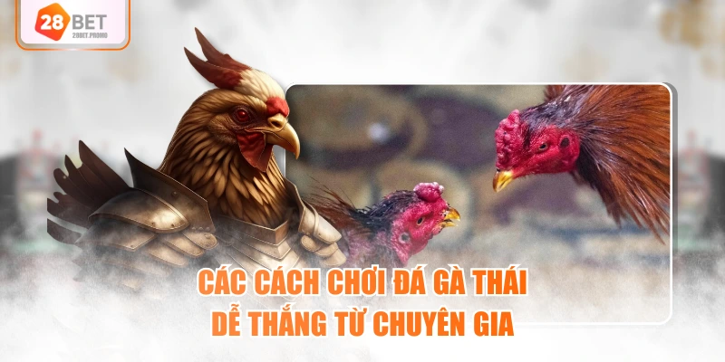 Các cách chơi đá gà Thái dễ thắng từ chuyên gia