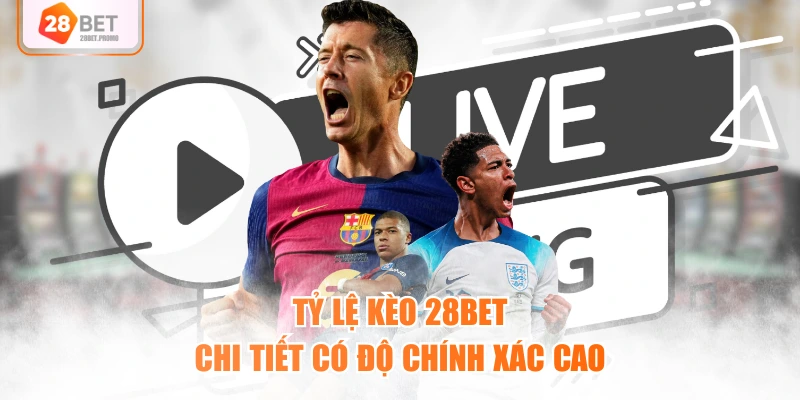 Tỷ lệ kèo 28BET chi tiết có độ chính xác cao